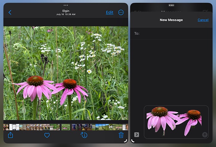 Pinterest Shuffles Remove Background Ios 16 Photos