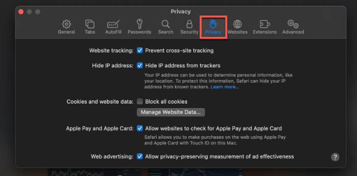 Privacy Settings Safari