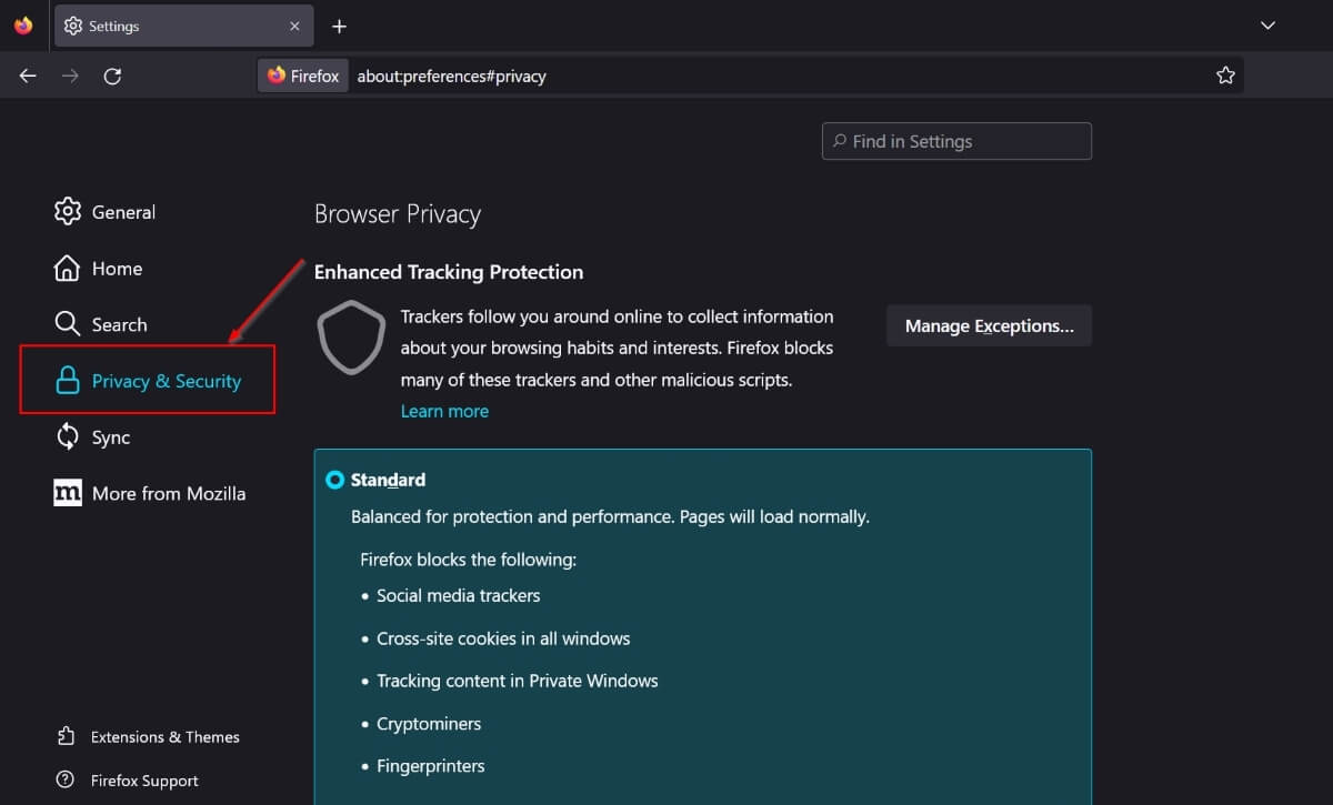 Select Privacy Security in Firefox