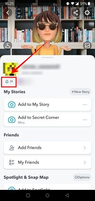 Snapchat Score Own Profile Score