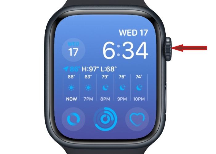 Watch Digital Crown 1