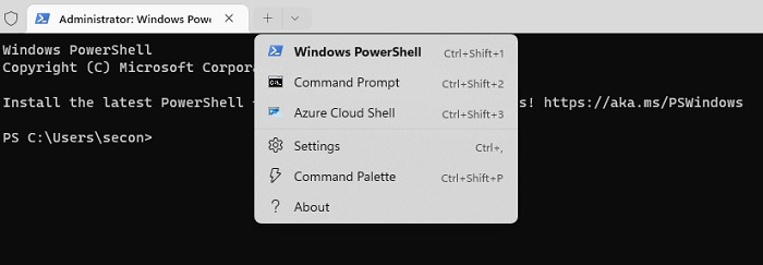Opening PowerShell in Windows Terminal.
