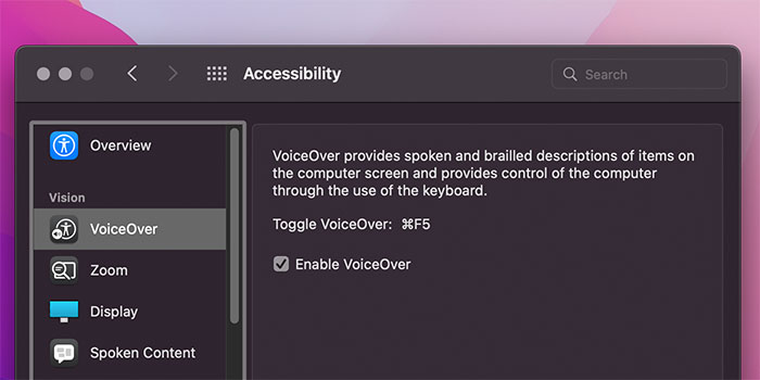What Is Accessibility On Mac Voice Over System Preferences