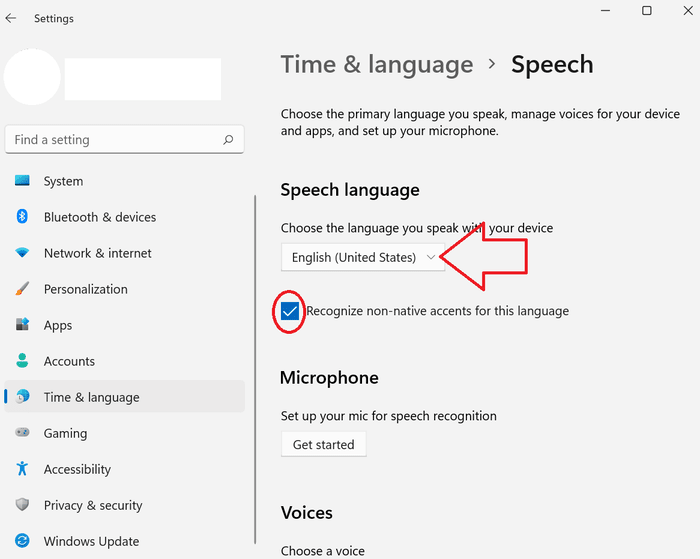 How-to-Enable-Voice-Typing-in- Windows-11-PC-Speech-Language
