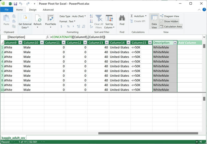 Large Files Excel Power Pivot Description Column