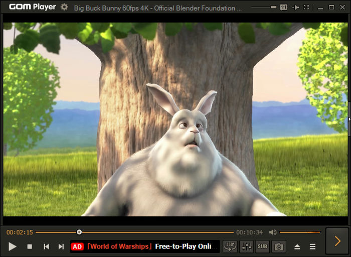 Large Files Gom Player Video Playback 