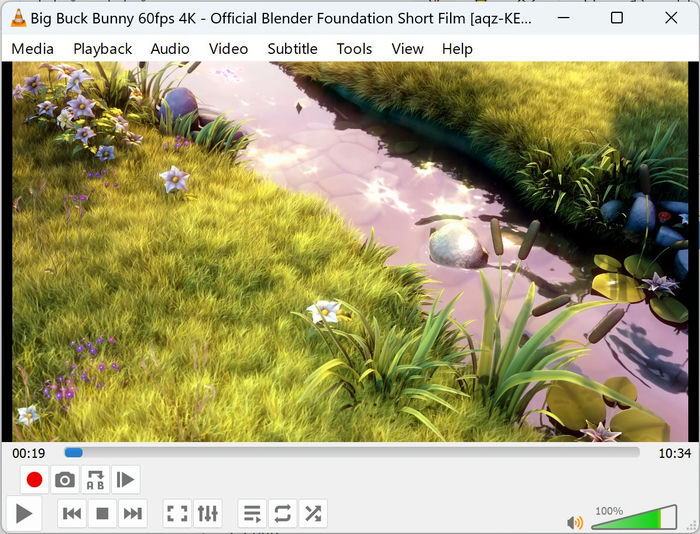 Large Files Vlc Video Playback 
