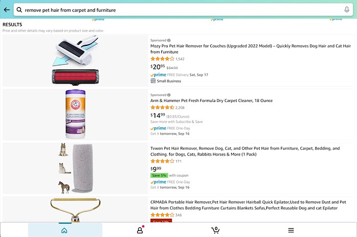 Amazon Alexa Questions Shopping