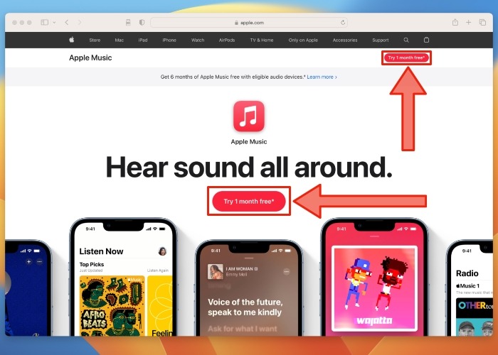 Apple Music One Month