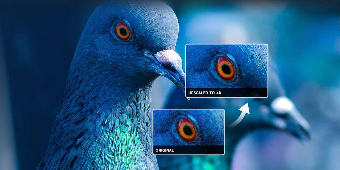 Avclabs Video Enhancer Featured