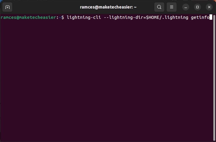 Bitcoin Lightning Node 12 Check Info Node