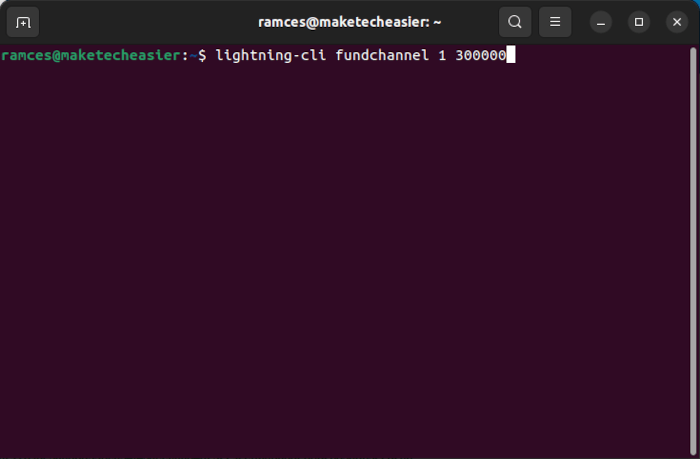 Bitcoin Lightning Node 16 Fund Channel