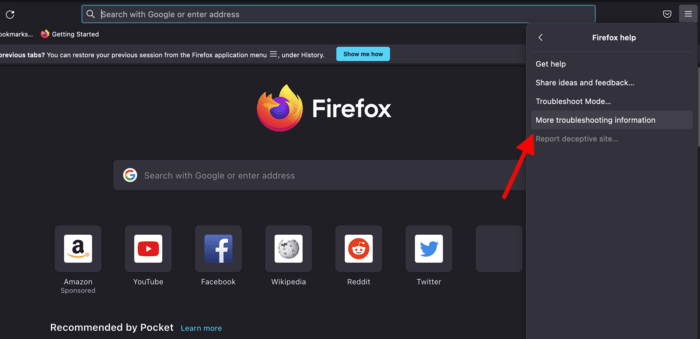 Selecting the "More Troubleshooting Information" in Firefox settings menu