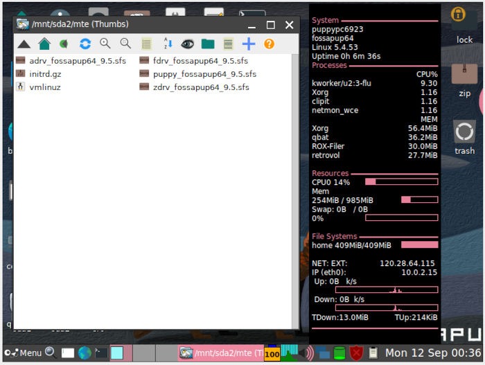 Install Puppy Linux 02 Filesystem Sample