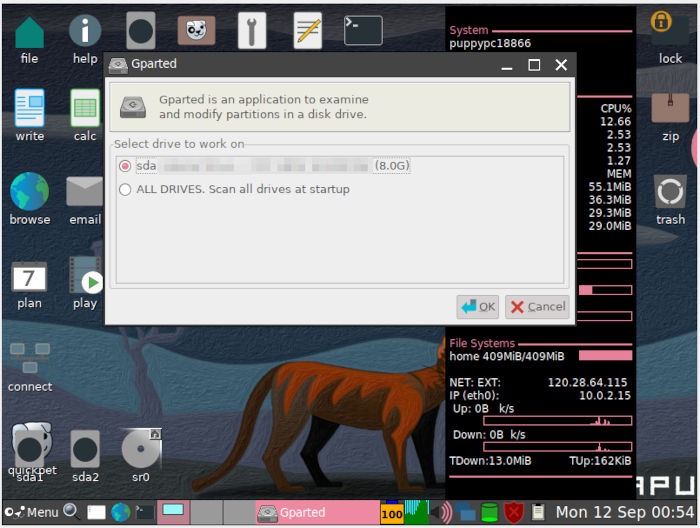 Install Puppy Linux 09 Gparted Select Disk