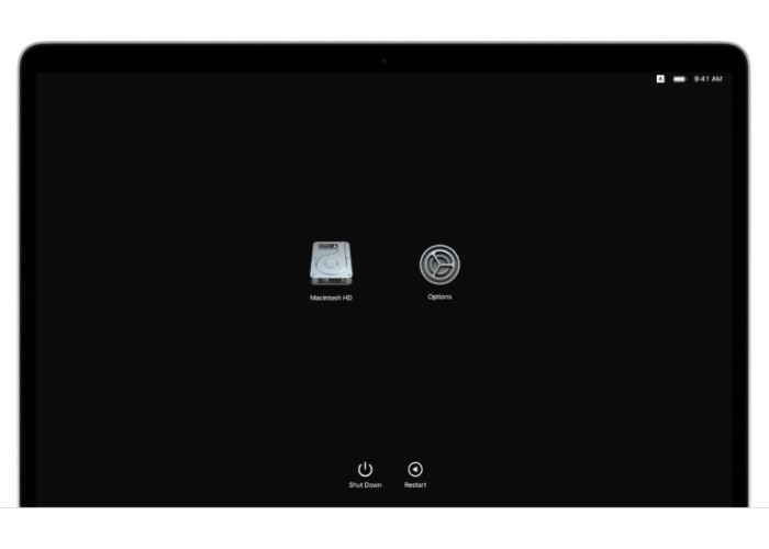 Mac Startup Options Screen