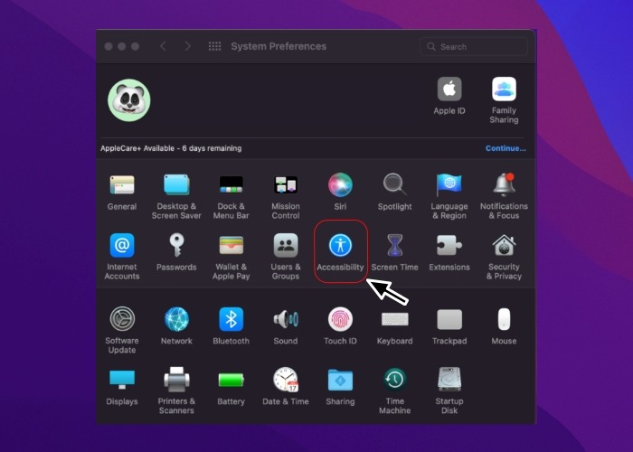 Monterey Accesability