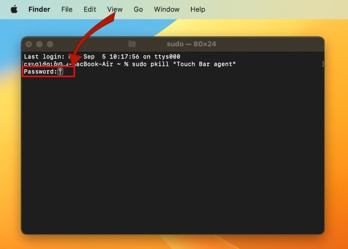 Touch Bar Terminal Password