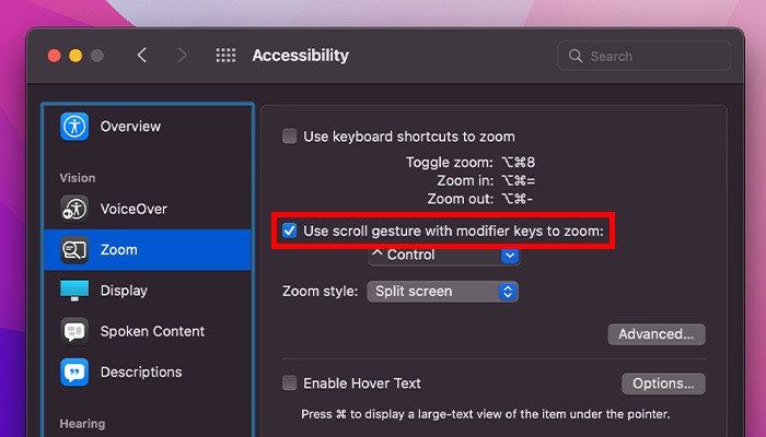 What Is Accessibility Mac Enabling Gesture For Zoom