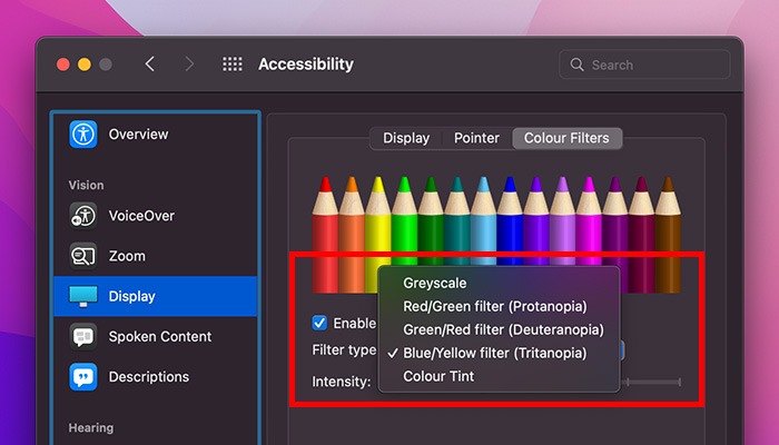 What Is Accessibility Mac Filter Type