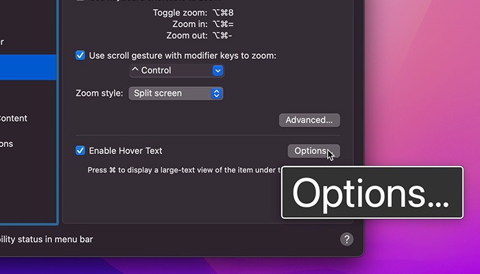 What Is Accessibility Mac Hover Text In Action