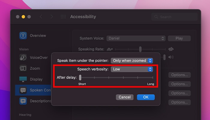 What Is Accessibility Mac Speak Items Under Pointer More Options