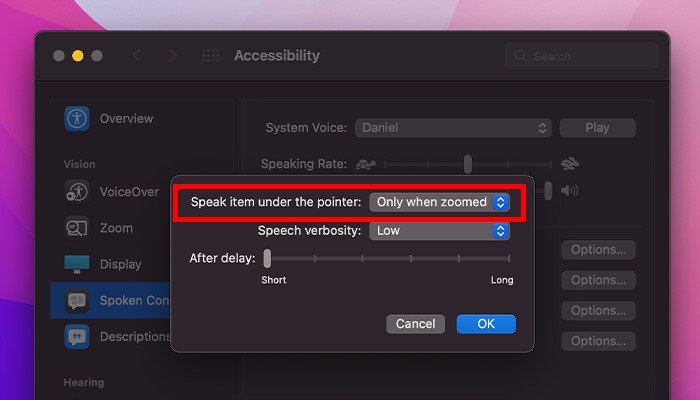 What Is Accessibility Mac Speak Items Under Pointer Options