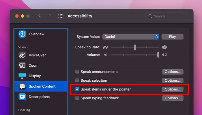 What Is Accessibility Mac Speak Items Under Pointer