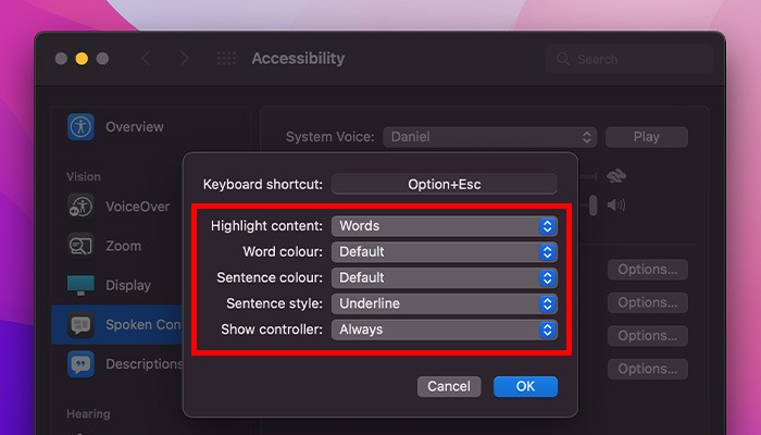 What Is Accessibility Mac Speak Selection More Options