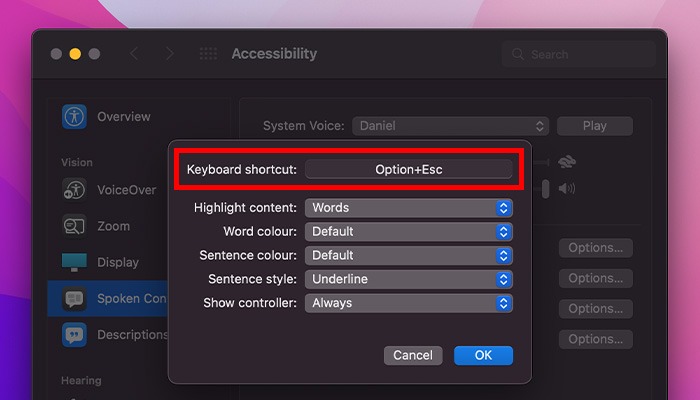What Is Accessibility Mac Speak Selection Options