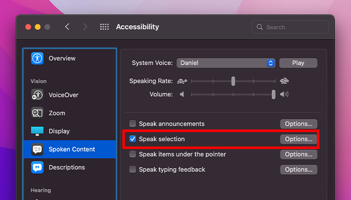 What Is Accessibility Mac Speak Selection
