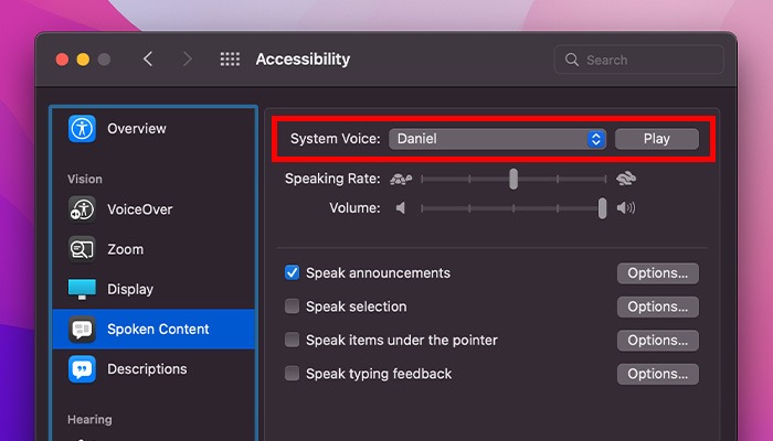 What Is Accessibility Mac System Voice