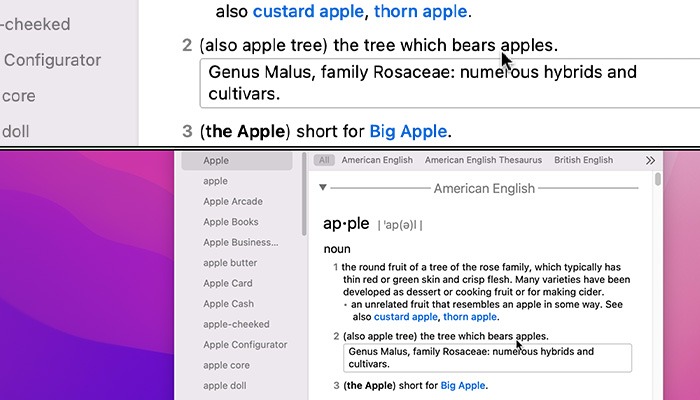 What Is Accessibility Mac Using Zoom Split Screen Mode