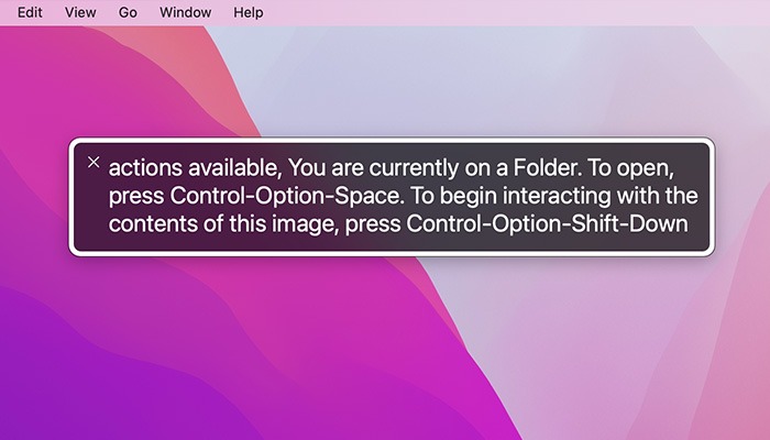 What Is Accessibility Voiceover Reading Screen
