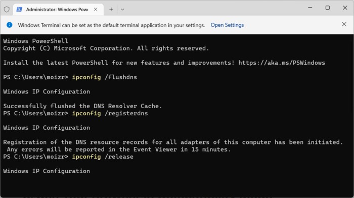 Clearing DNS using Windows Terminal