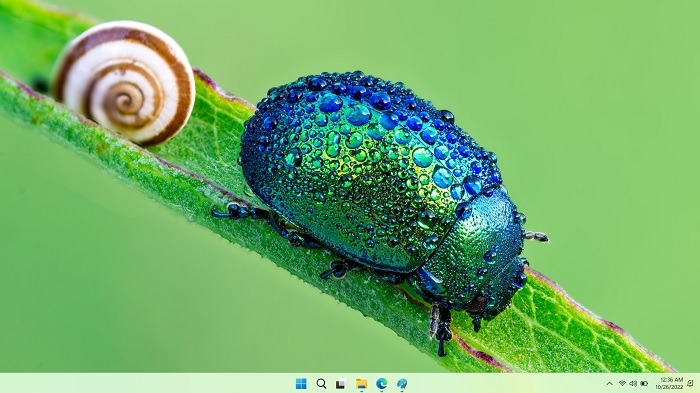 Best 4k Wallpapers Win Beetle Appearance