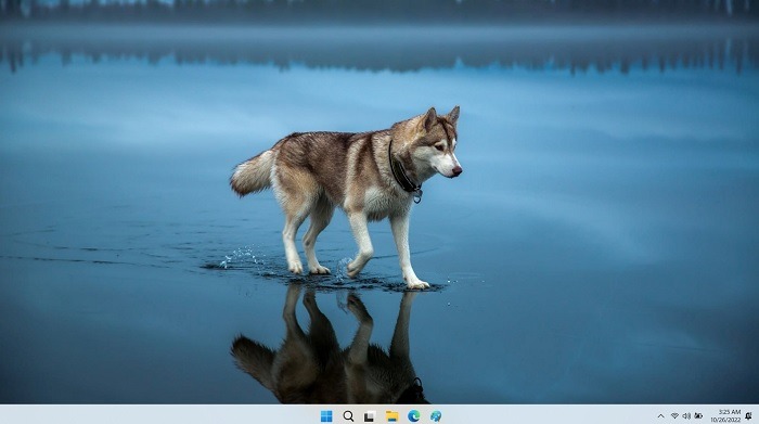 Best 4k Wallpapers Win Siberian Husky
