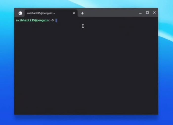 Chrome Os Flex Terminal