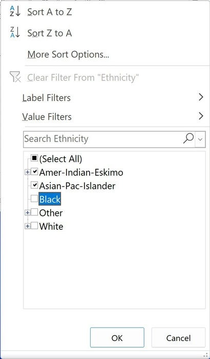 Excel Pivot Chart Ethnicity Filters