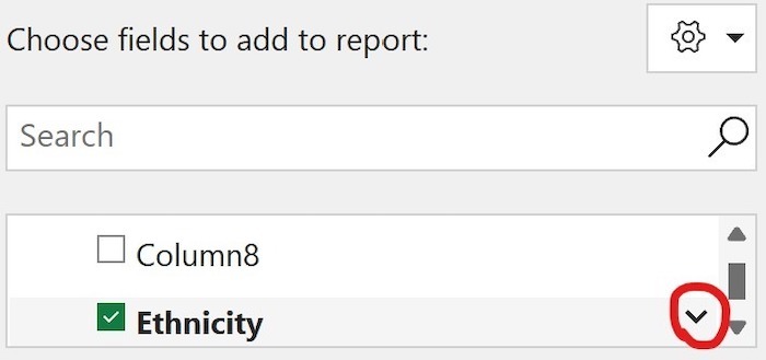 Excel Pivot Chart Mouse Over Ethnicity 1