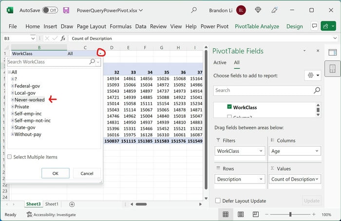 Excel Power Pivot Field Filter By Workclass