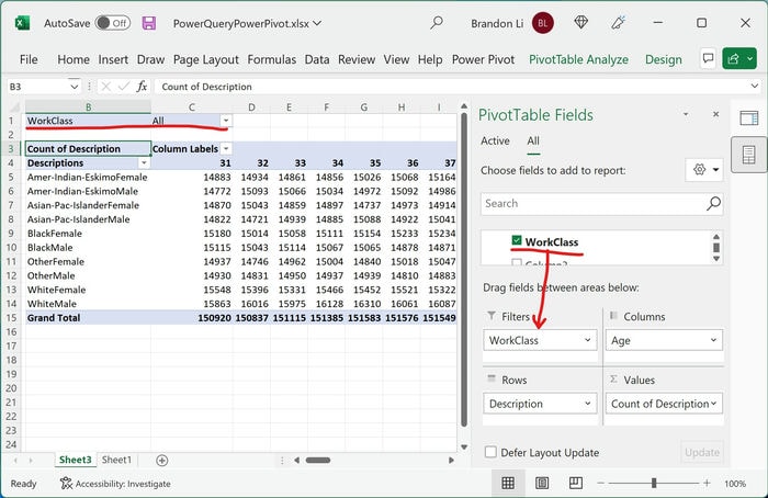 Excel Power Pivot Field Workclass Filters