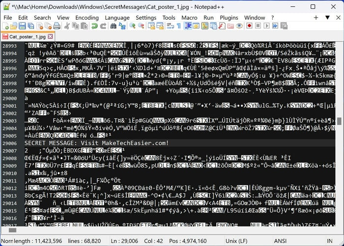 Secret Messages 1 Notepad Plus Plus File Middle