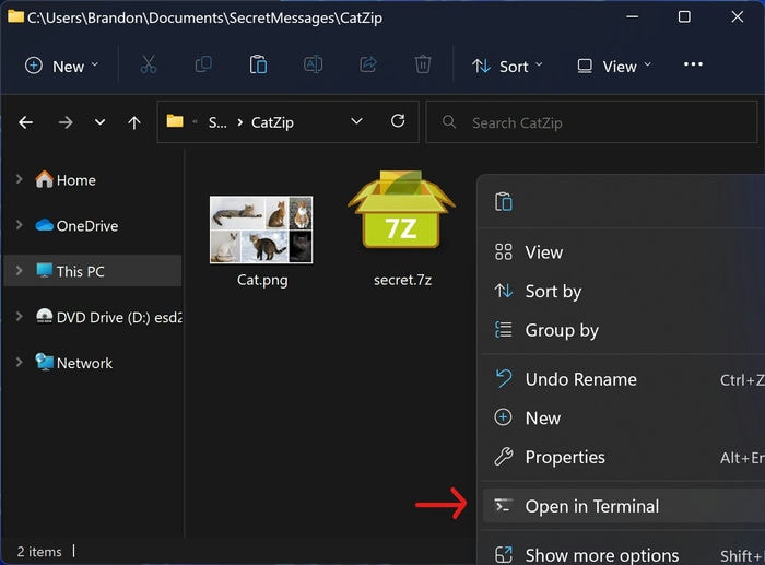 Secret Messages 4 Explorer Open Terminal