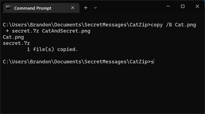 Secret Messages 4 Terminal Copied