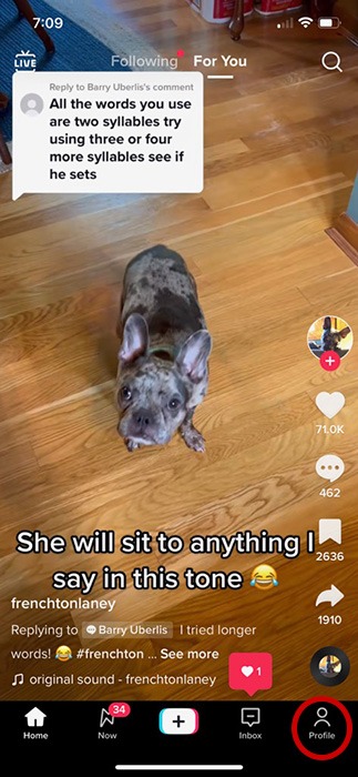 Tik Tok Watch History Ios Profile