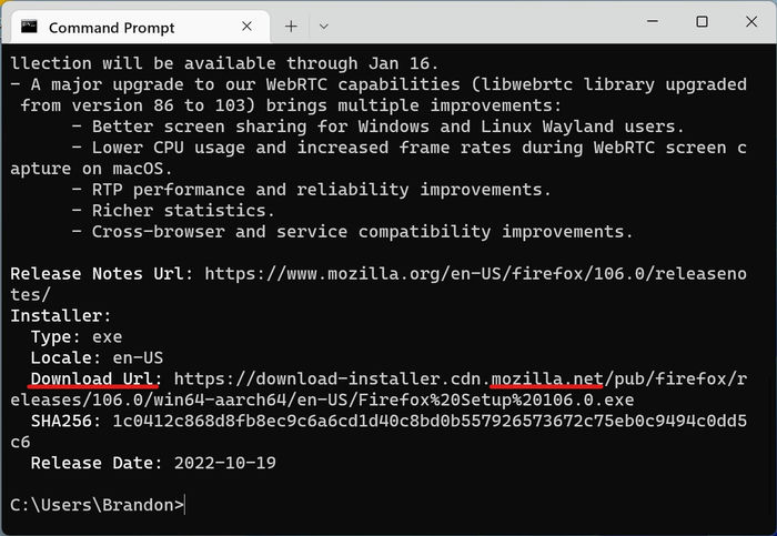 Windows Package Manager Terminal Winget Show Download Url