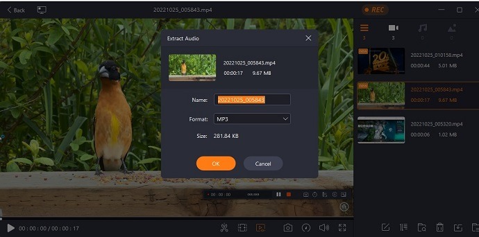 Easeus Recexperts Review Extract Audio