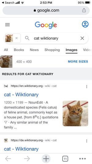 Iphone Google Chrome Lens Result