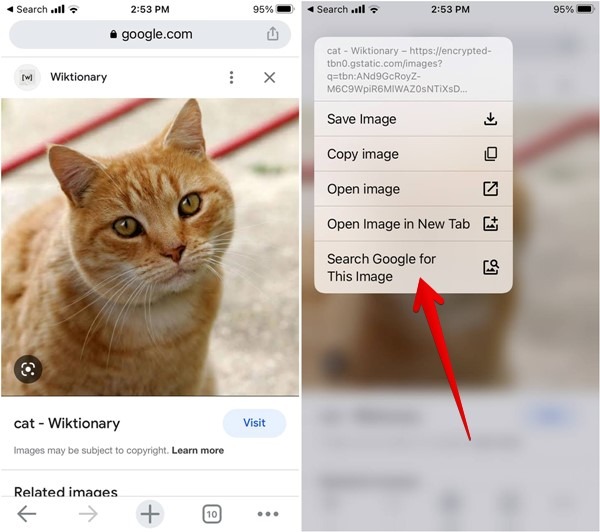 Iphone Google Chrome Lens